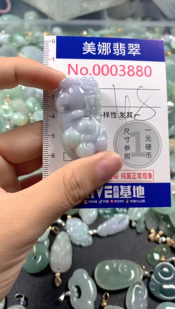 颈饰未镶嵌翡翠3880