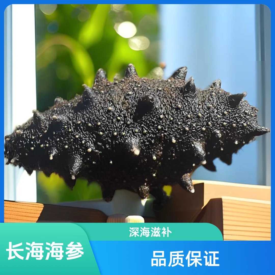 海参长海县深海海参纯淡干海参