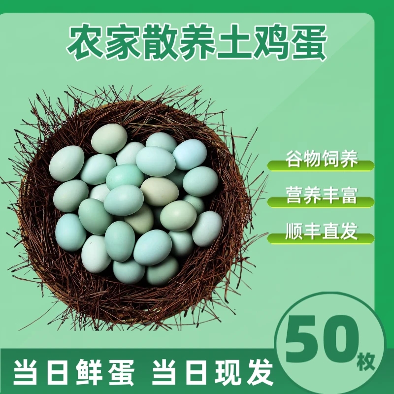 50枚无色素土鸡蛋正宗农家散养无抗乌鸡蛋绿壳蛋宝辅食鲜鸡蛋（2）