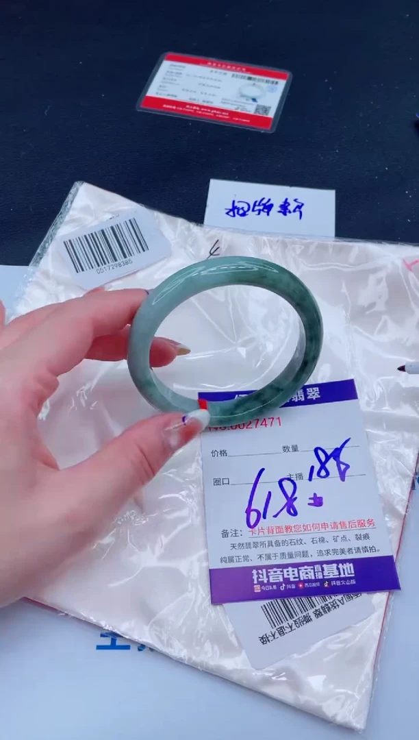 未镶嵌手镯翡翠1