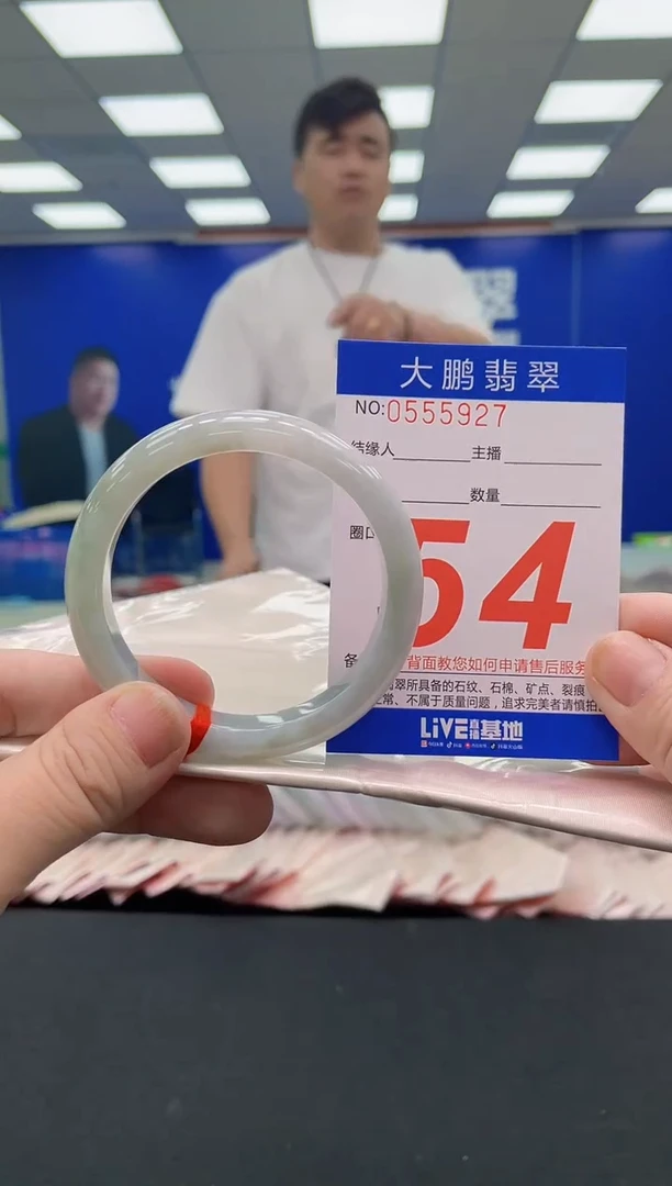 未镶嵌手镯翡翠AAAAAAAAA