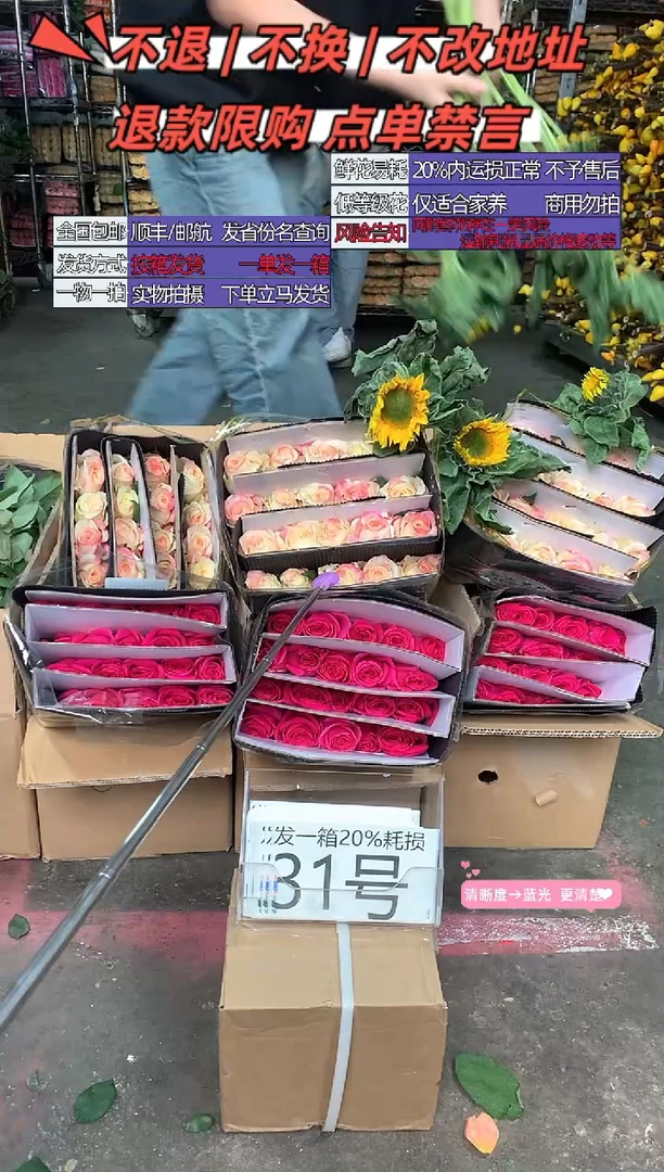 31号♥含20%耗损发一箱