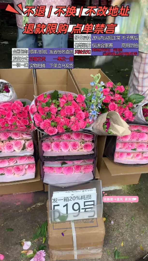 519号♥含20%耗损发一箱