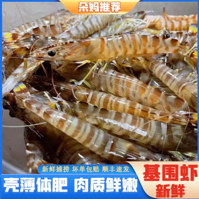 【朵妈海鲜】基围虾竹节虾新鲜速冻直播约22只/斤200g/盒5盒共2斤