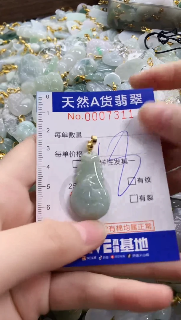 颈饰未镶嵌翡翠天然A货翡翠