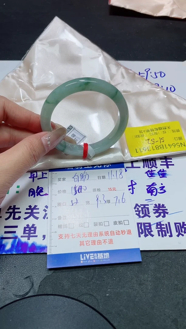 未镶嵌手镯翡翠白*51-52/13611