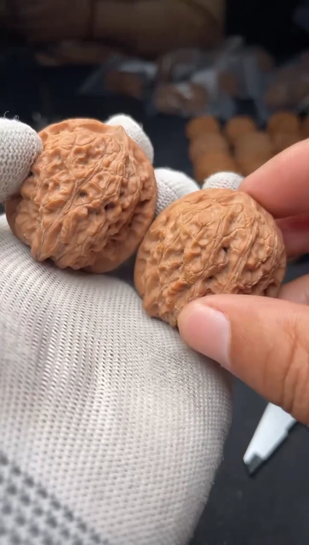 核桃a206  血麒麟 37尺