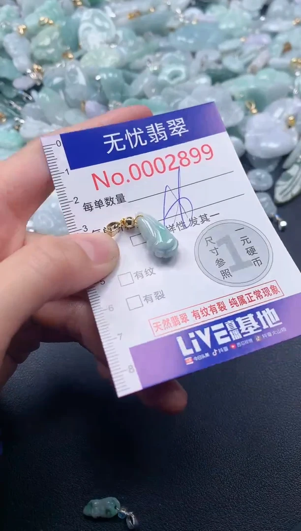 吊坠(不含链)未镶嵌翡翠2899