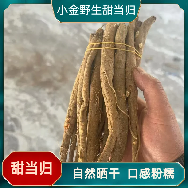 【四川特产】阿坝州小金甜当归野生高山独脚当归藏区特产香甜粉糯
