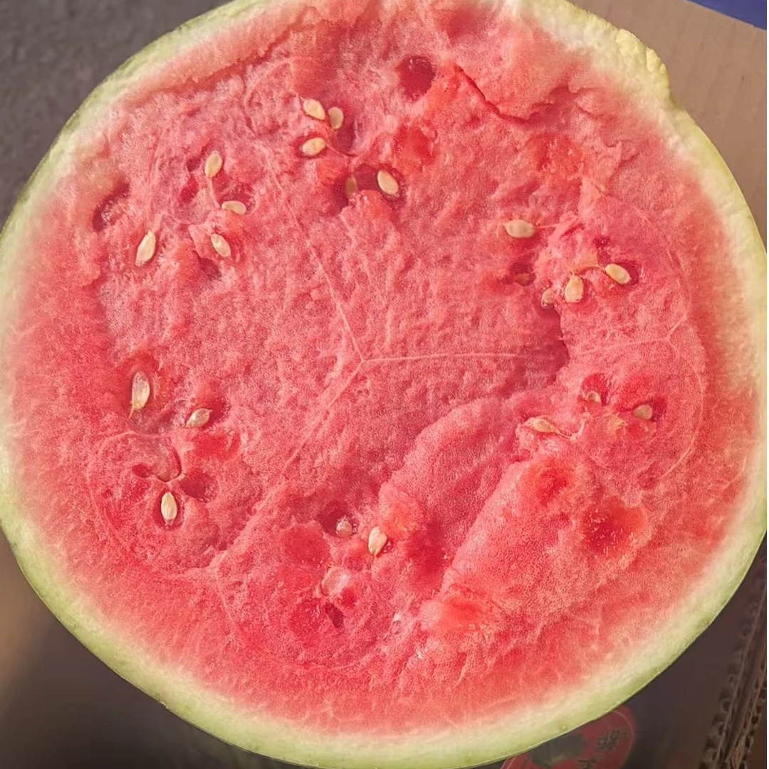 【次日达】美都麒麟西瓜1枚7-8斤 皮薄脆甜多汁云南省