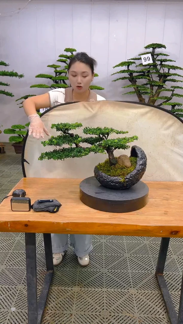 无花朵一物一拍一物一拍
