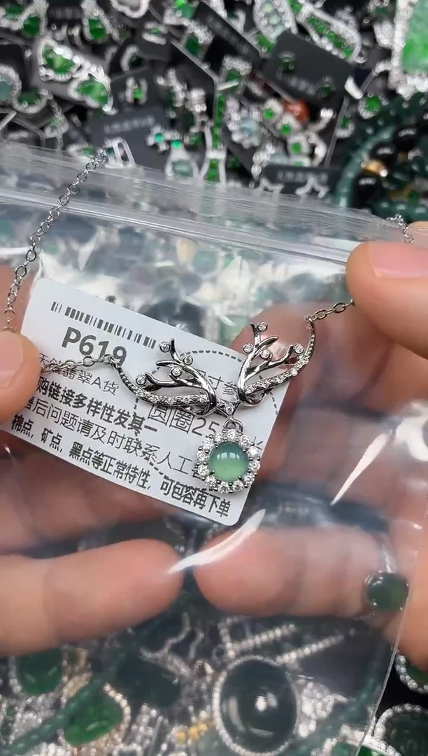 颈饰未镶嵌翡翠P619项链