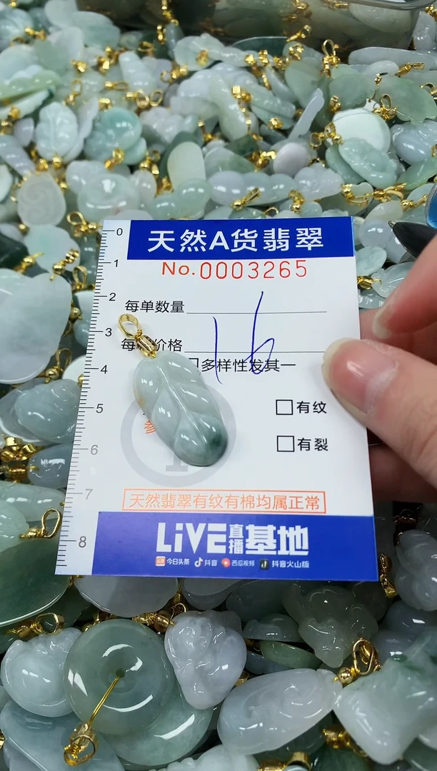 颈饰未镶嵌翡翠纯天然a货翡翠