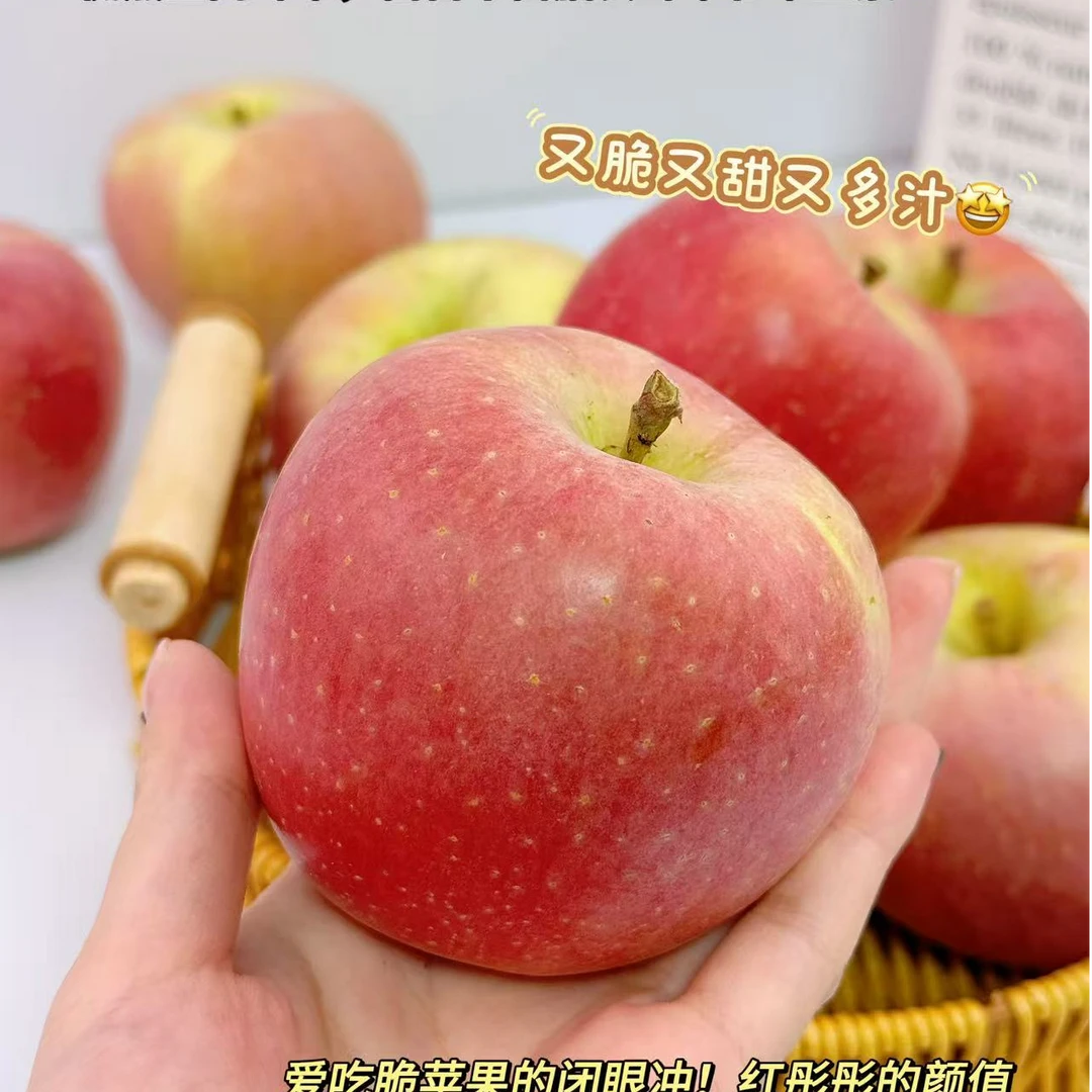 当季水果整箱冰糖心脆甜包邮红富士