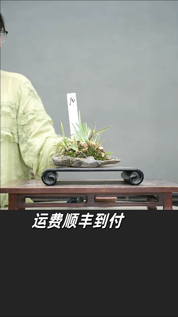 博*10