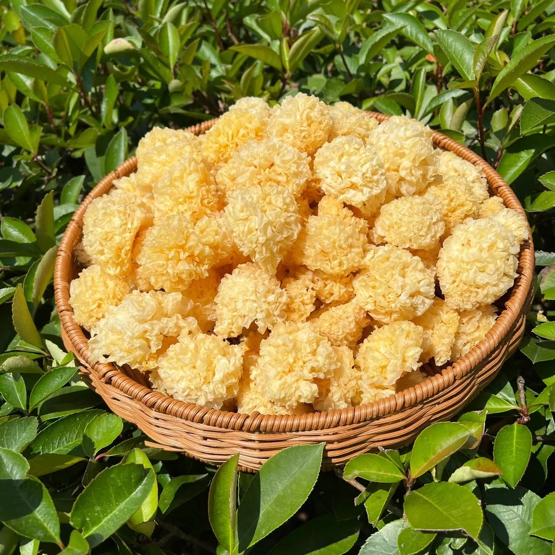 (银耳)山货土特产批发零售 加枸杞