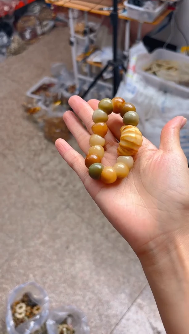 吊坠菩提根/象牙果多宝大肠  牛角包
