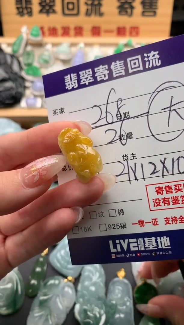 翡翠未镶嵌颈饰10133499