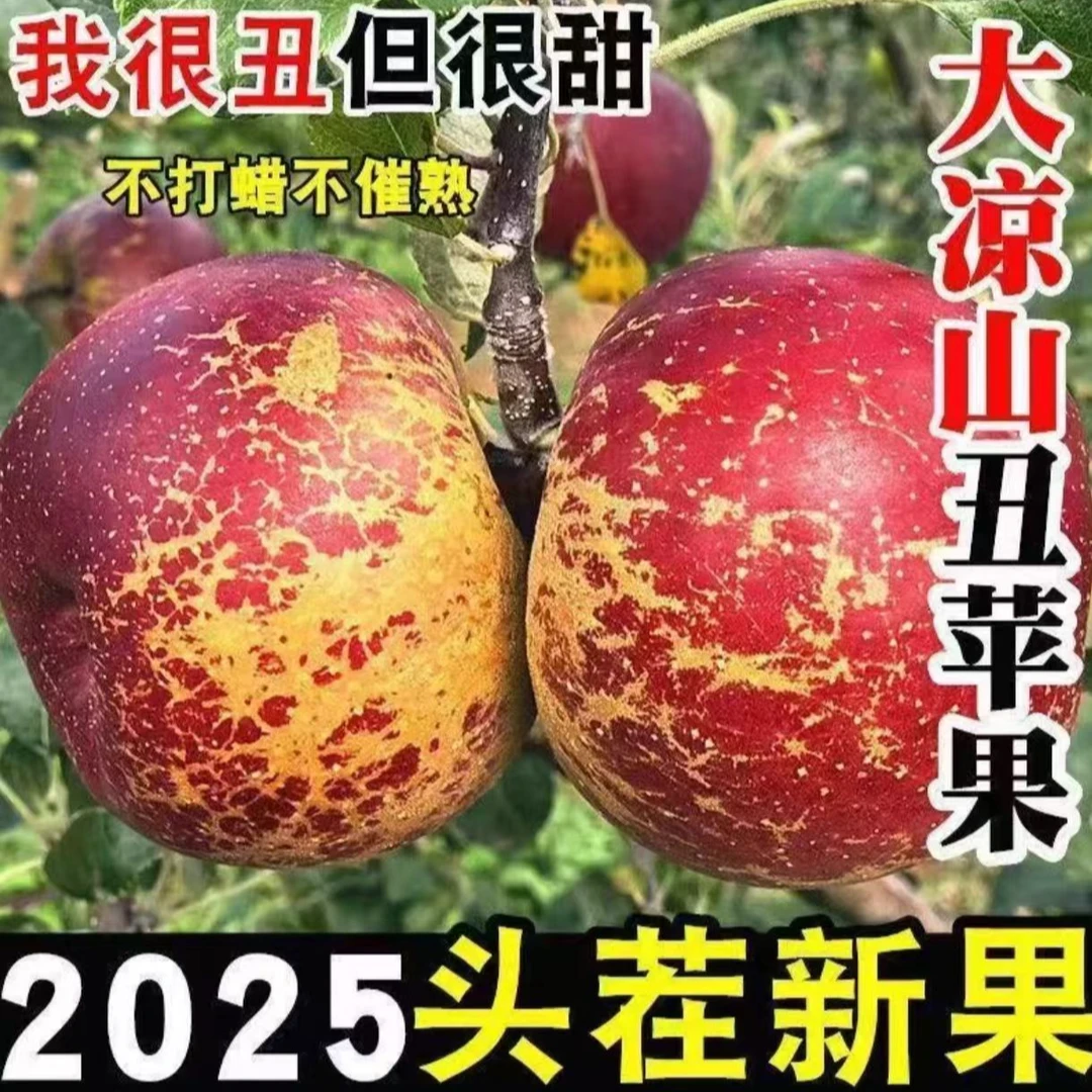 CM1四川大凉山盐源丑苹果新鲜现摘脆甜多汁高山糖心孕妇儿童水果