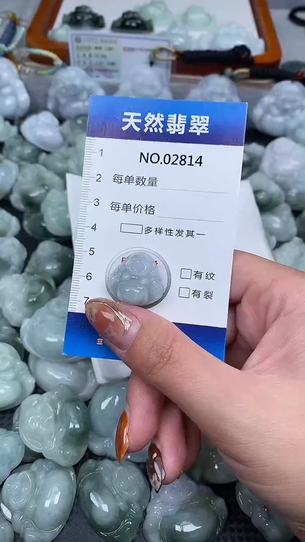 颈饰未镶嵌翡翠纯天然A货翡翠2814