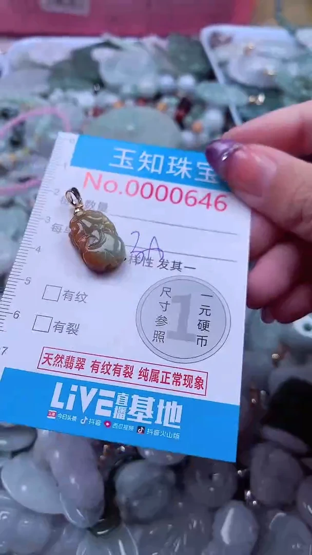 翡翠未镶嵌吊坠(不含链)646