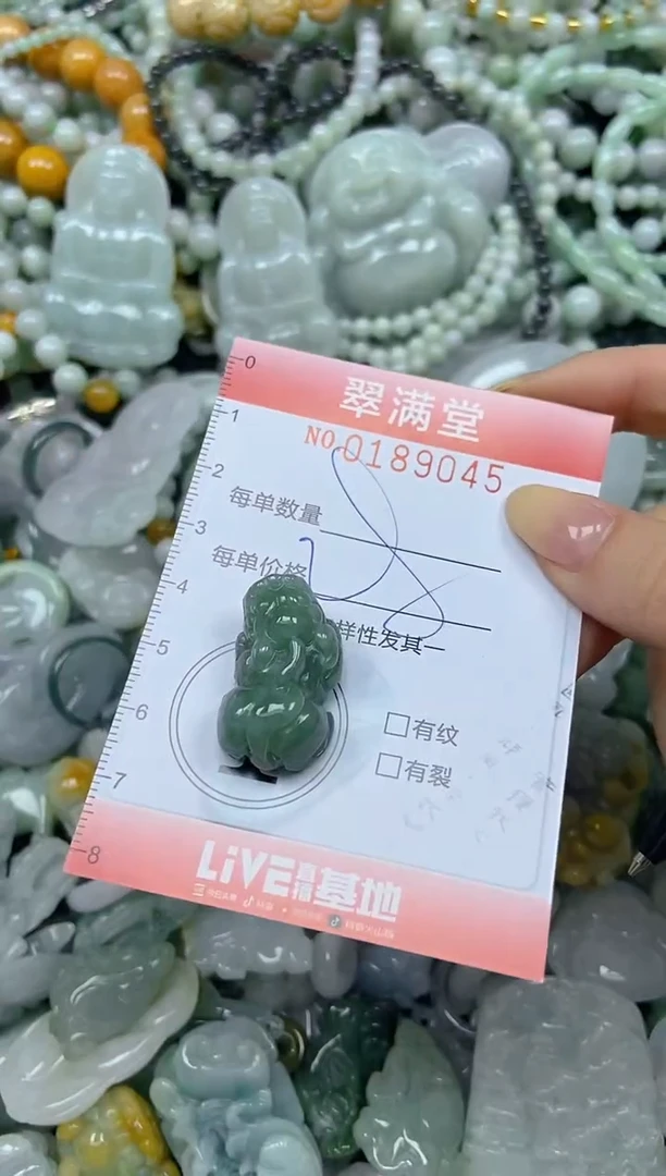 颈饰未镶嵌翡翠闪购0189045