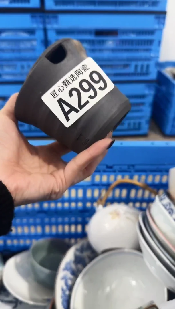 瓷片D***N           A299