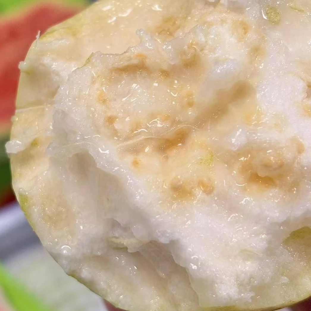 当季新鲜奶油芭乐软心番石榴软糯香甜,先吃黄色,24小时后无售后