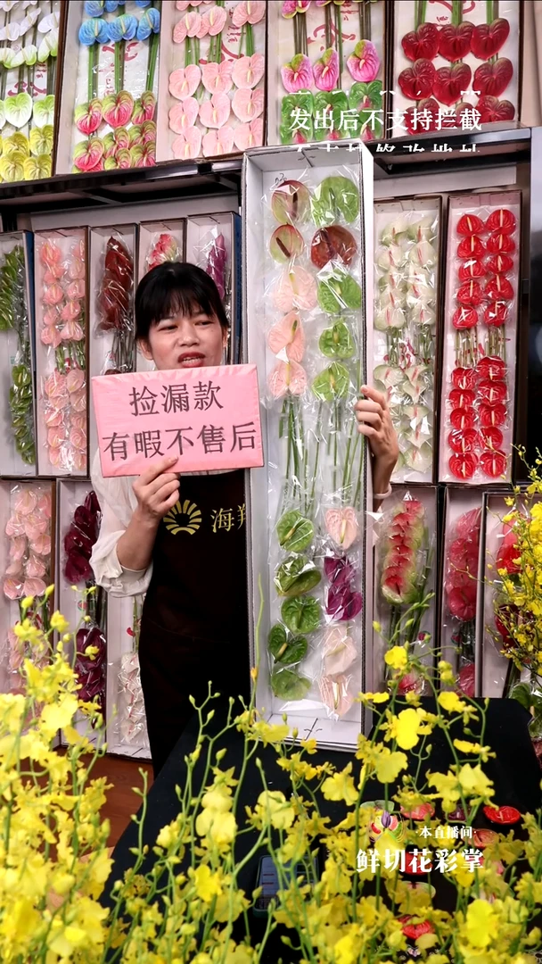03混色迷你掌20支(15-20cm，横冠幅6cm)微瑕无售后慎拍！