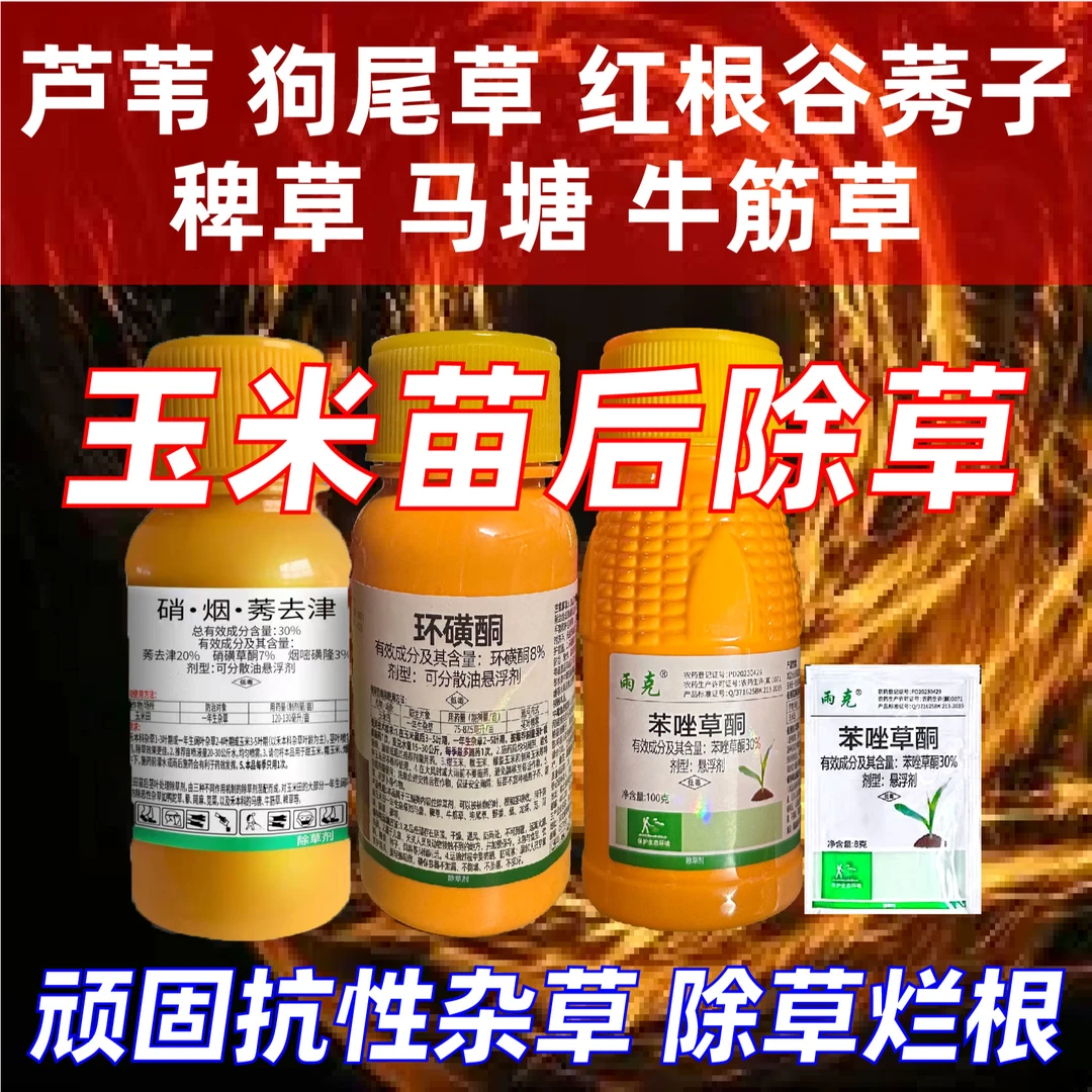 玉米地苗后除草剂芦苇狗尾草马塘牛筋草环黄酮苯唑草酮硝烟莠去津