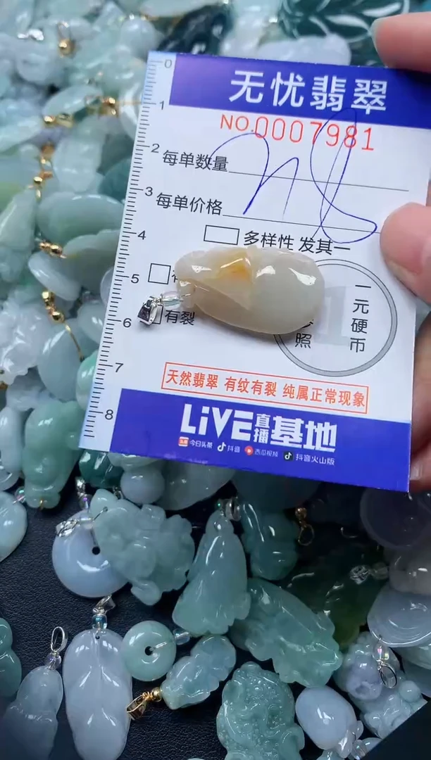 颈饰未镶嵌翡翠7981