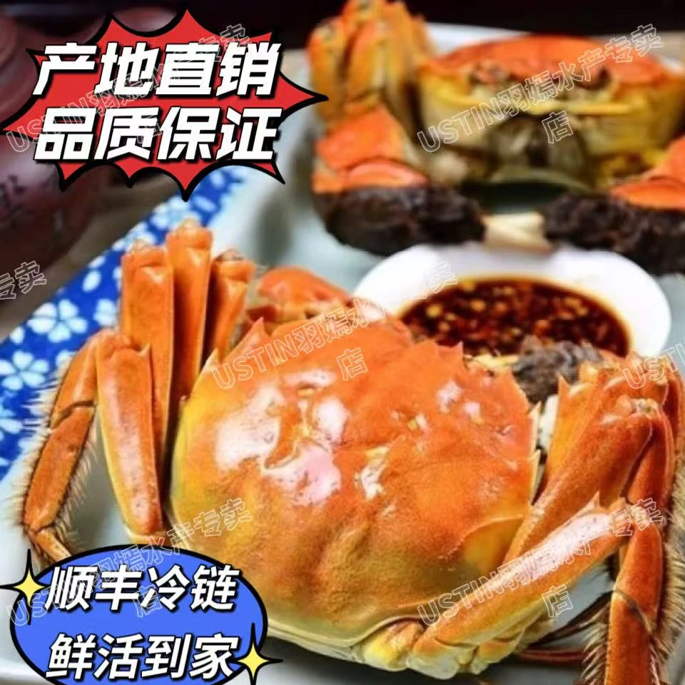 【活蟹】一点七两至二点二两全母蟹10只装顺丰包邮