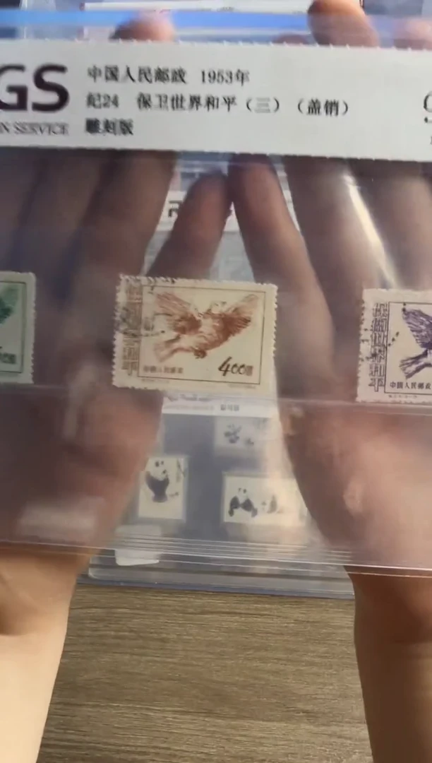 盖销  纪24  保卫世界和平