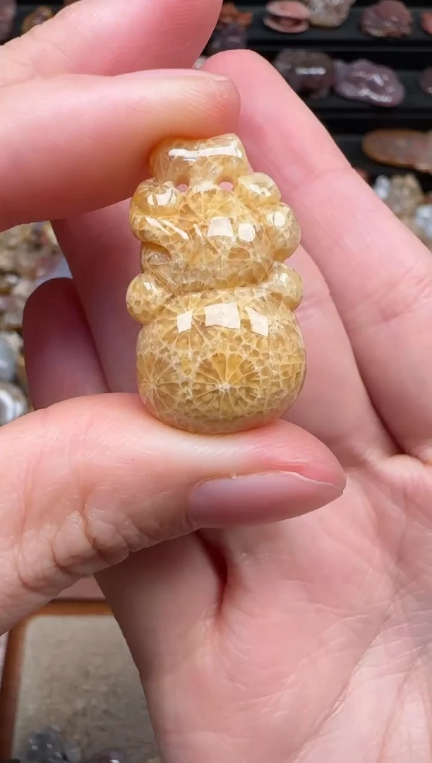 颈饰未镶嵌硅化珊瑚（珊瑚玉）342