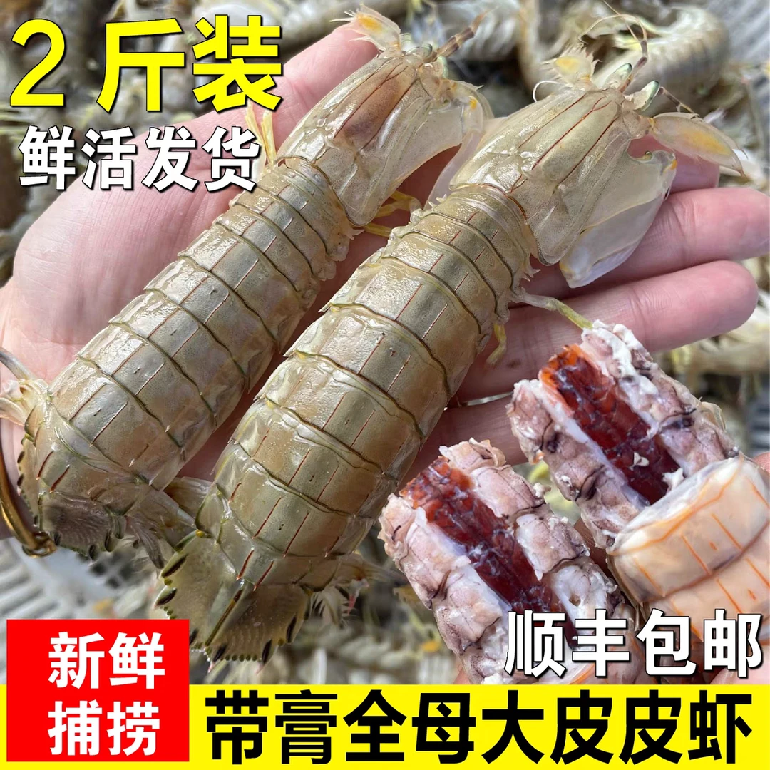 【次日达】同城鲜活发货不包活 全母带黄皮皮虾虾婆2斤