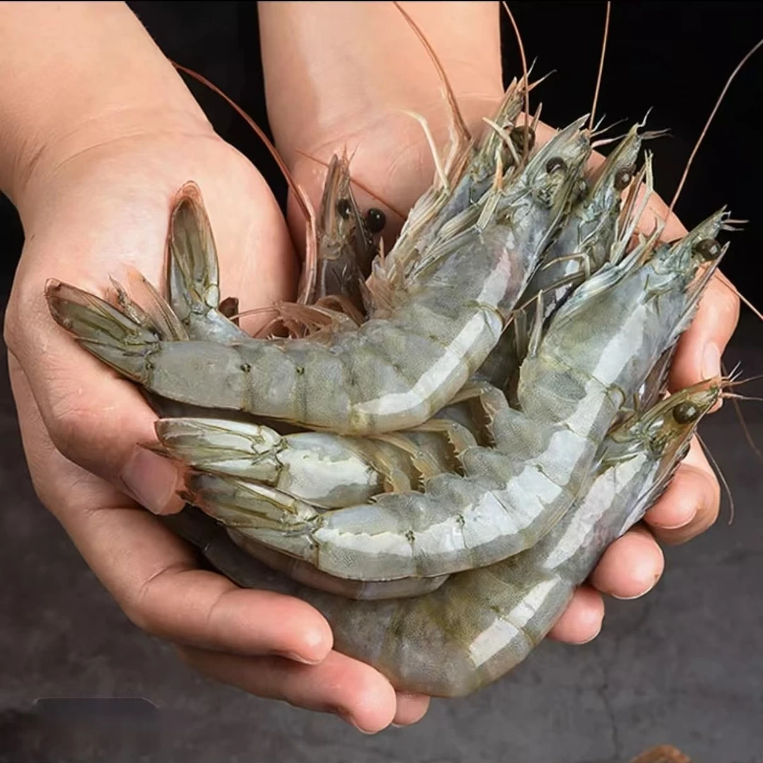 大虾5斤 速冻锁鲜 13-15cm/只 一斤20-25只 5包装 冷链发货