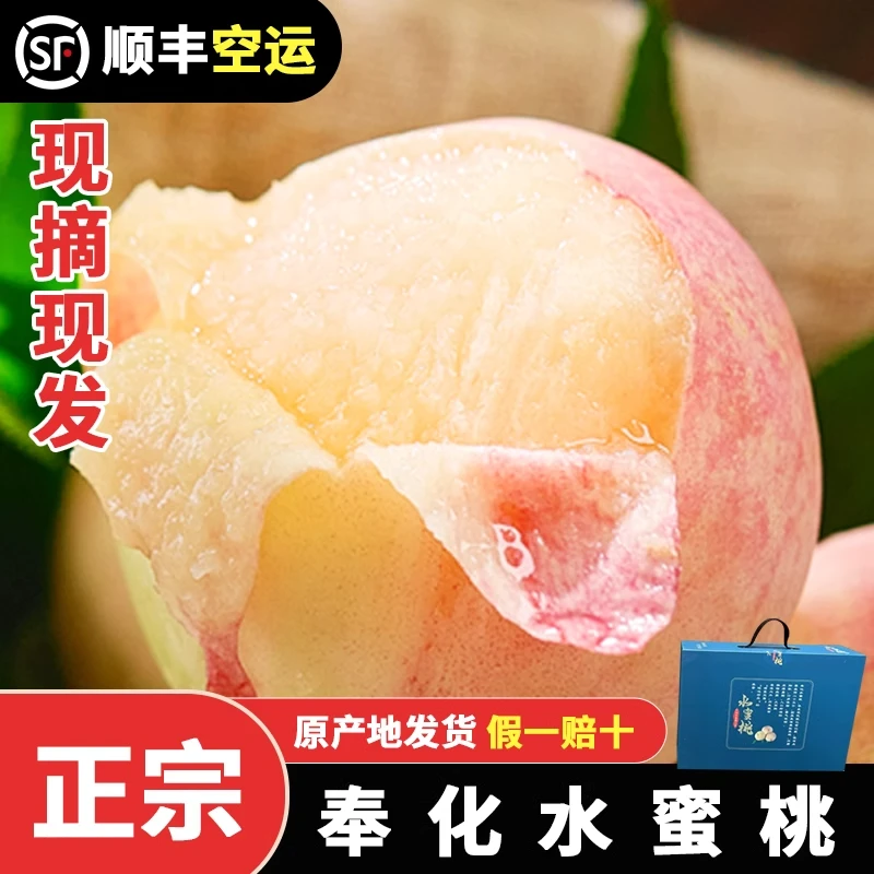 奉化水蜜桃正宗现摘现发新鲜水果浙江宁波特产顺丰空运