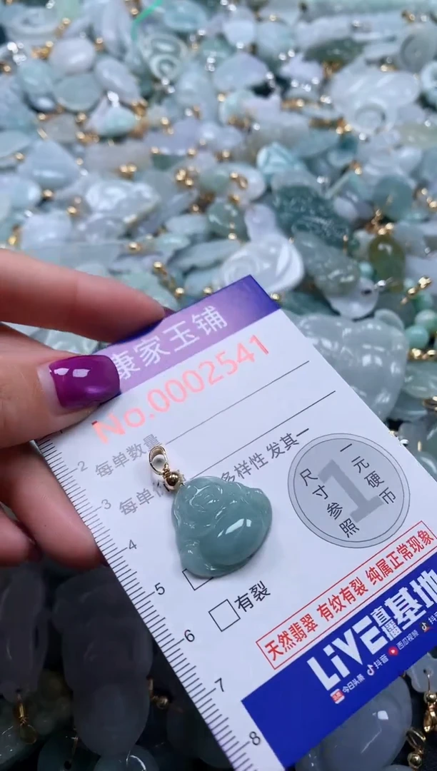 颈饰未镶嵌翡翠2541