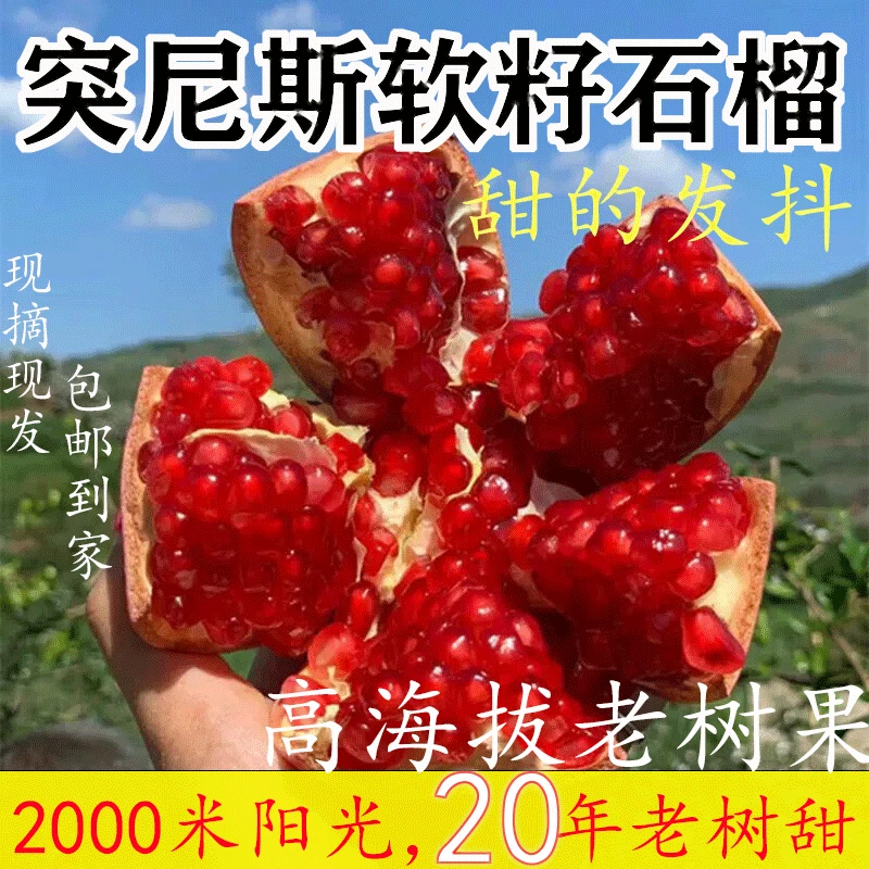 凉山直发正宗四川会理突尼斯软籽石榴爆甜现摘现发老品种应季水果