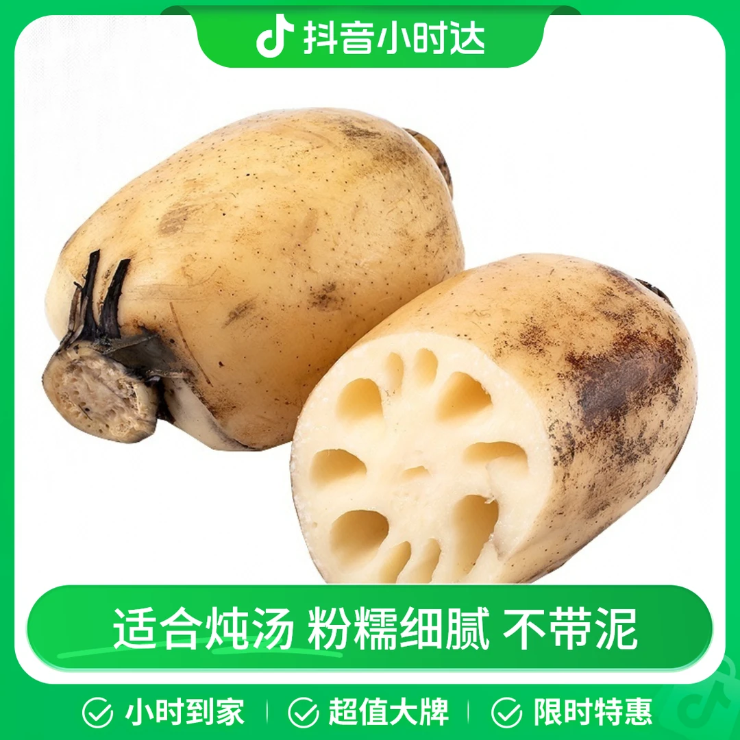 【产地特色】洪湖莲藕 400g/份藕同城配送
