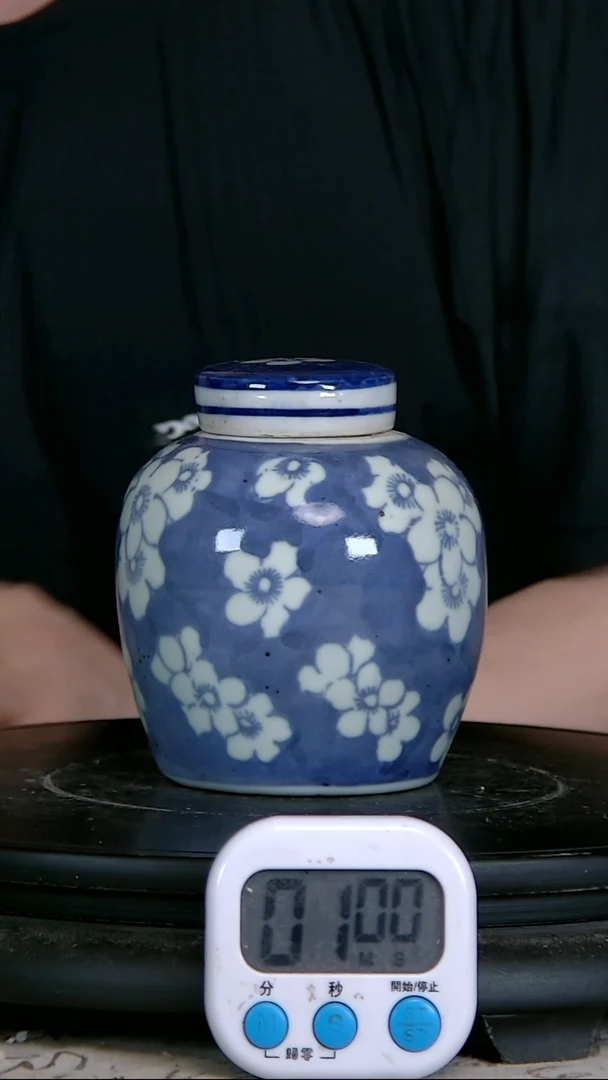 8**学青花精绘花卉美图罐