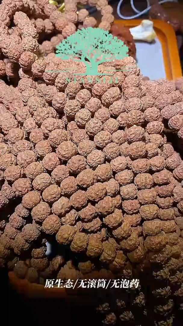 手串金刚菩提108树魔10mm