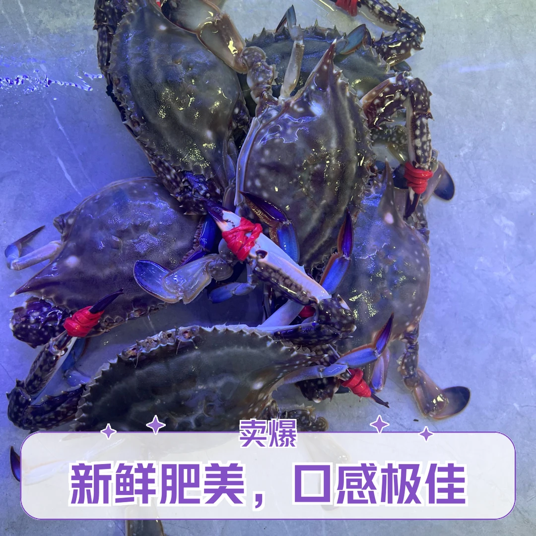 东港飞蟹单只3两左右三斤装【保鲜不保活】