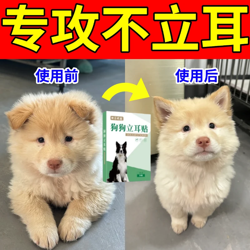 田园犬专用幼犬立耳器立耳贴竖耳器小狗立耳神器狗狗立耳朵辅助器