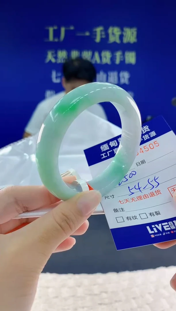 未镶嵌手镯翡翠05