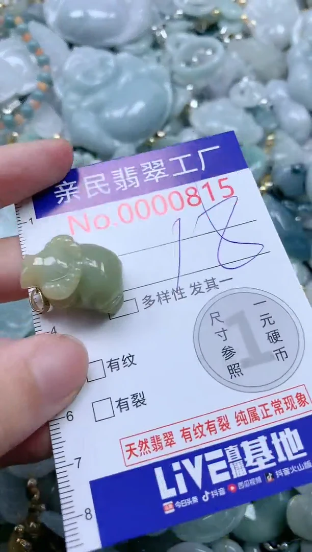 翡翠未镶嵌吊坠(不含链)815