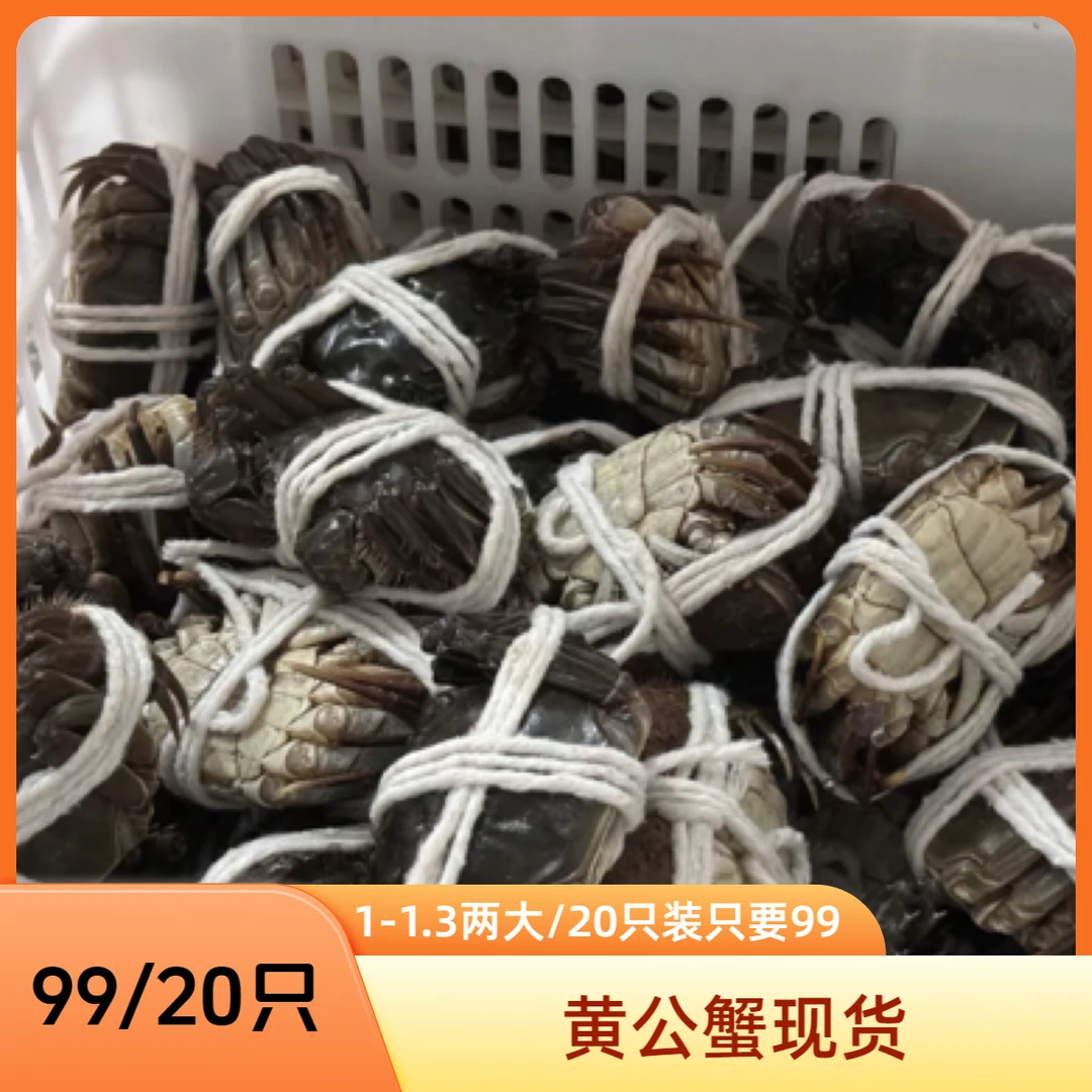 （精品六月黄公蟹）每只1-1.3两/20只装 北京小时达