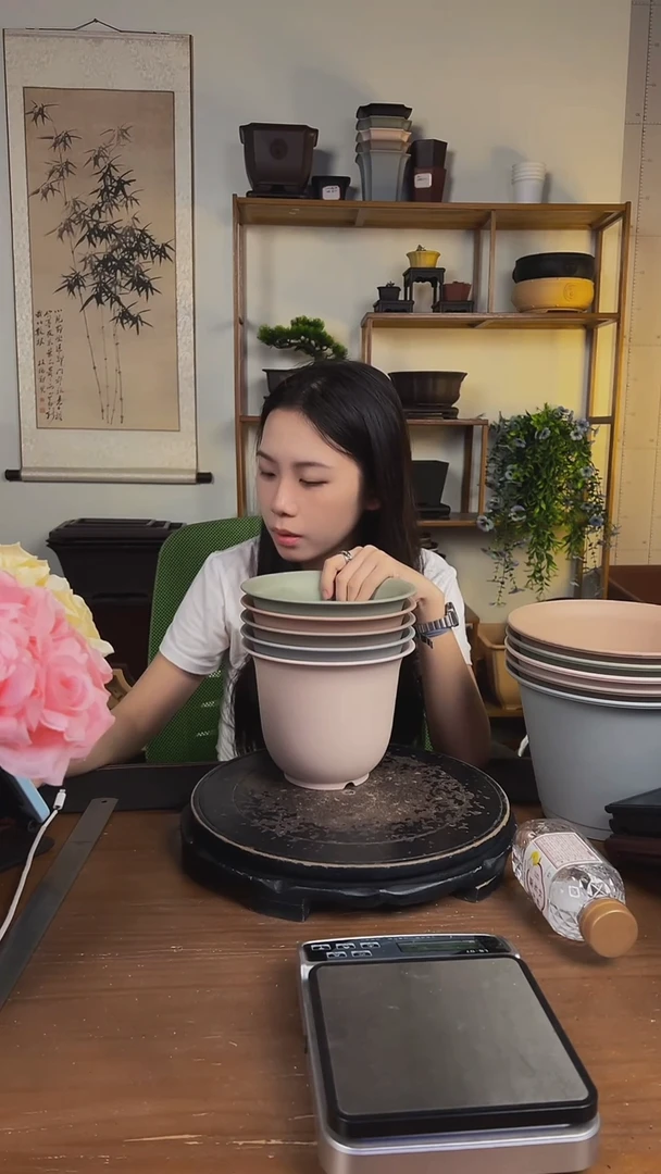 22*16双沿盆 马卡龙色系5只