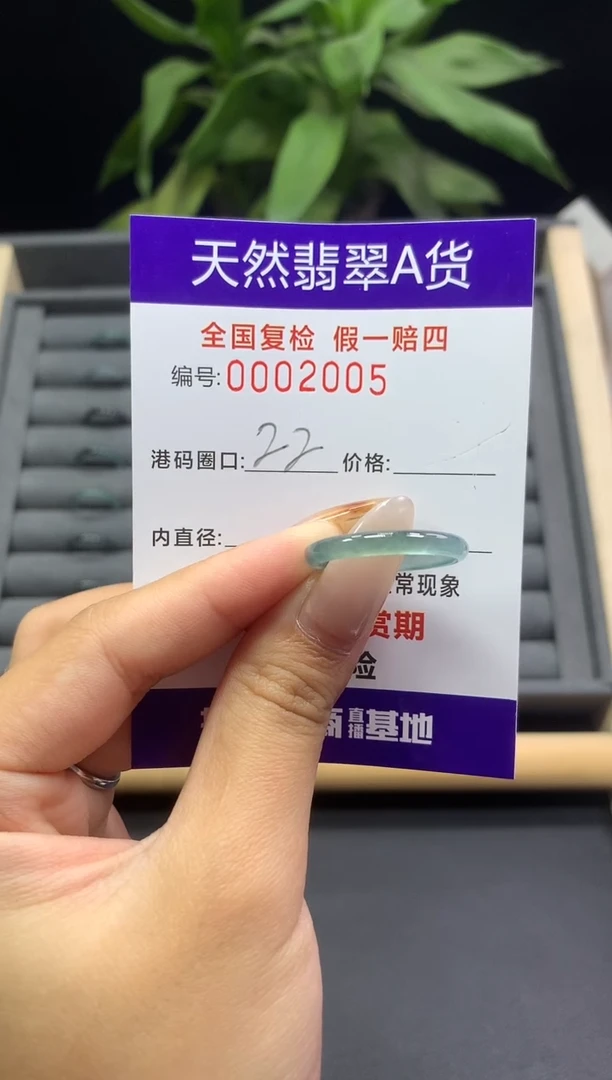未镶嵌戒指翡翠天然  2005