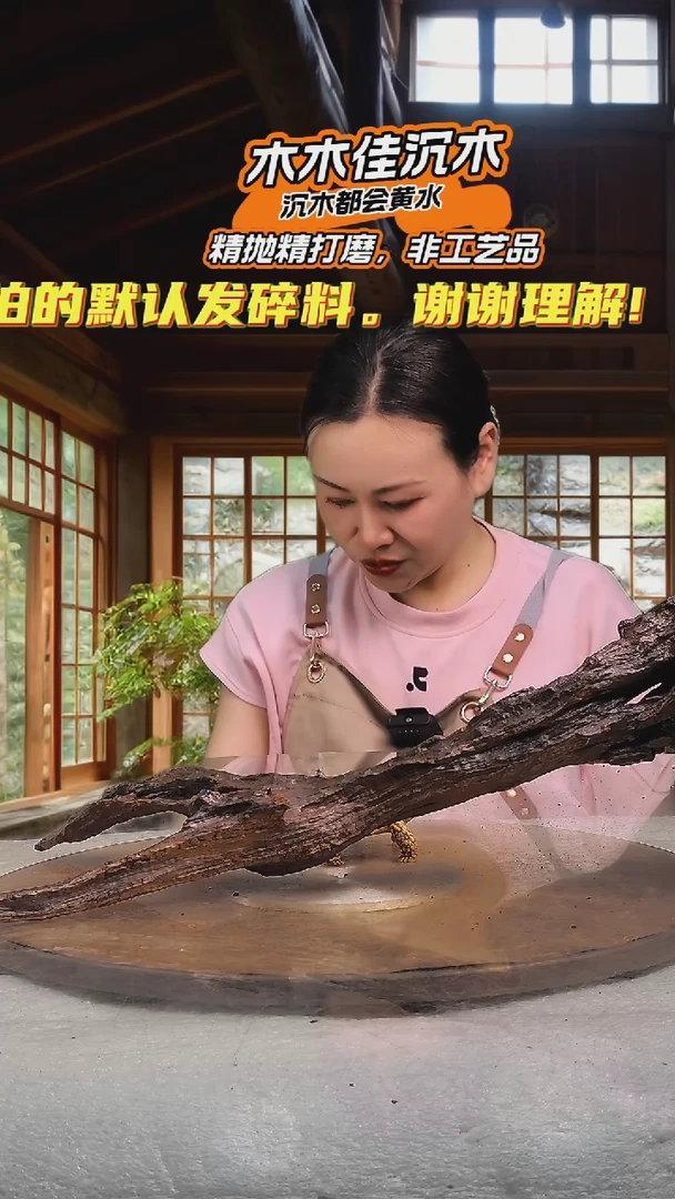 尊*木木佳沉木鱼缸造景592